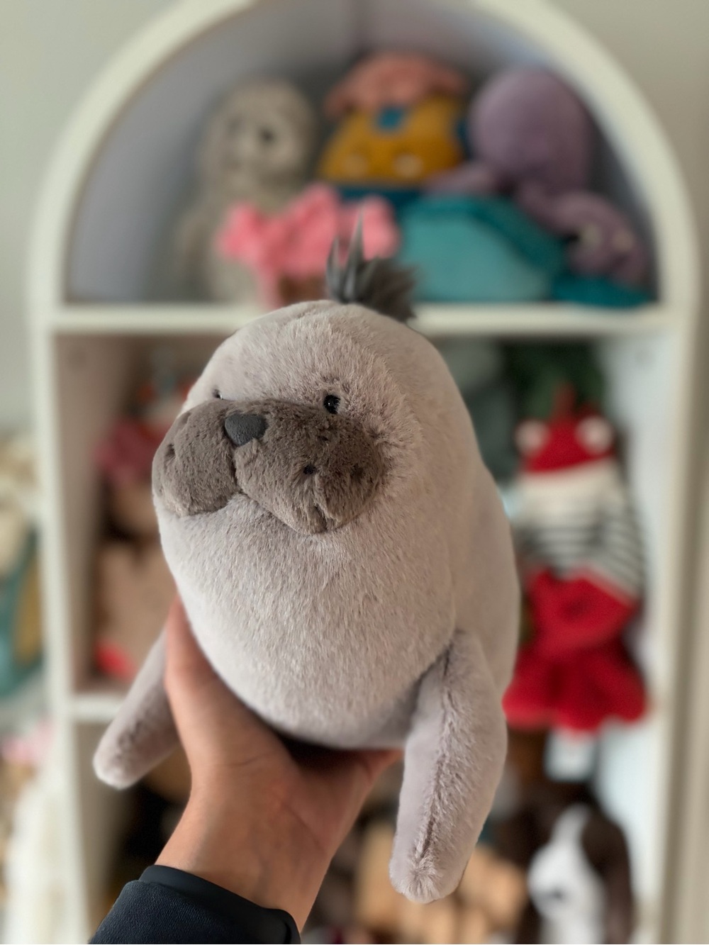Jellycat Roarwell Sea Lion - Authentic & BNWT